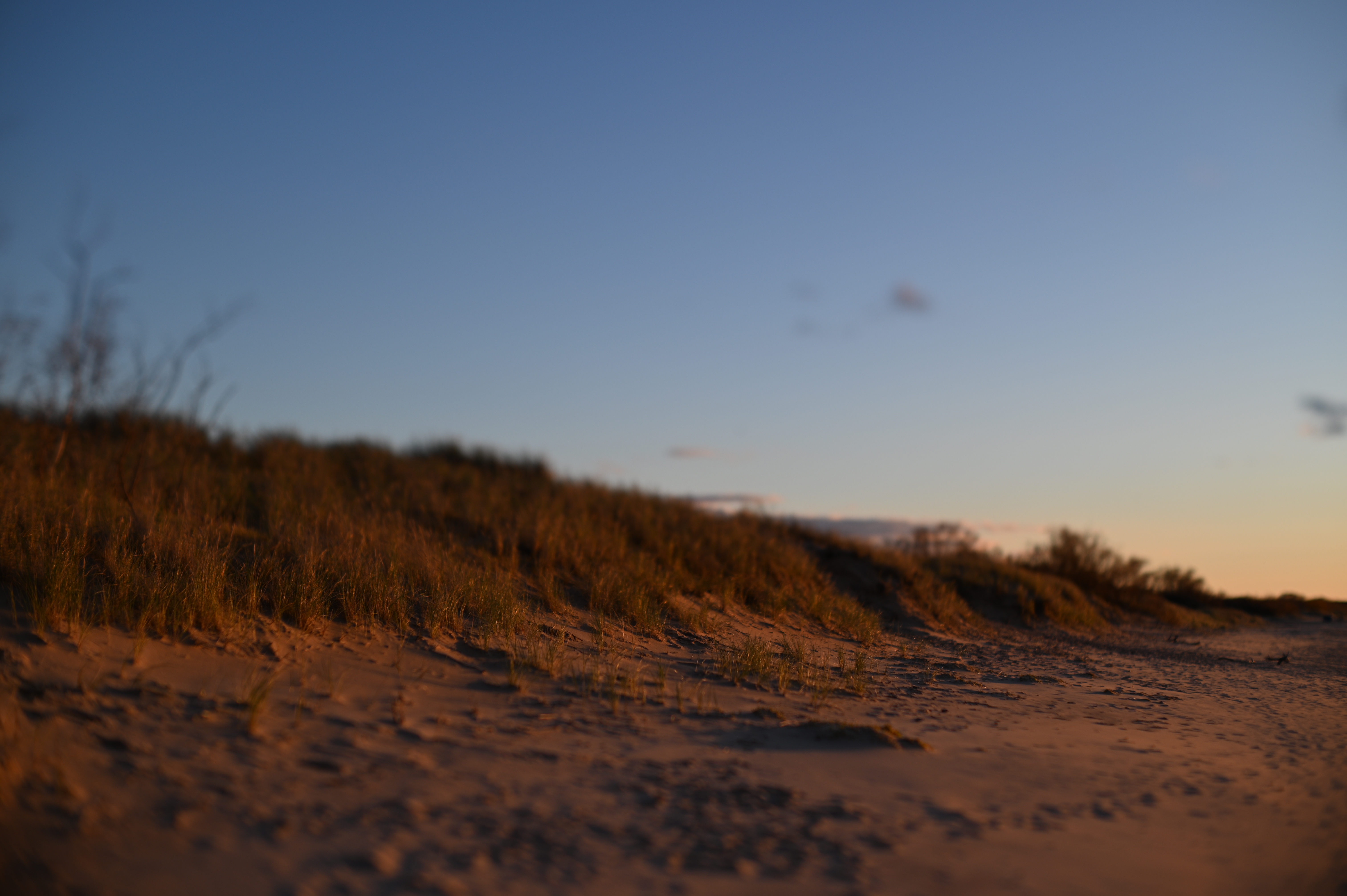 2025/10/18 - walk/DSC_0360.JPG